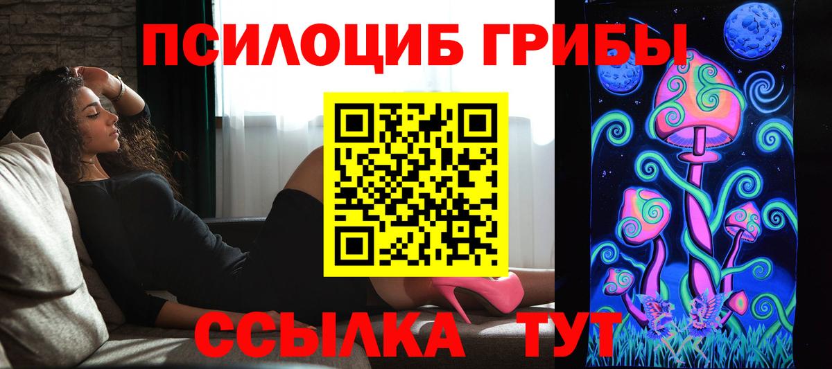 Галлюциногенные грибы Cubensis Крымск