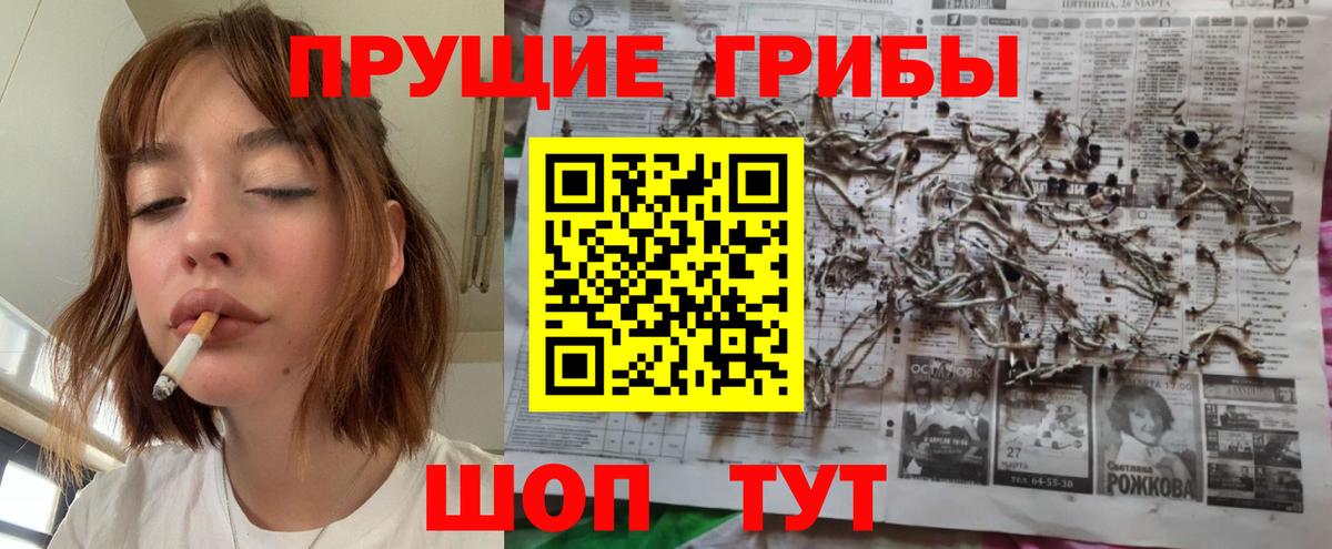 Псилоцибиновые грибы прущие грибы  Вход с VPN  купить   Крымск 