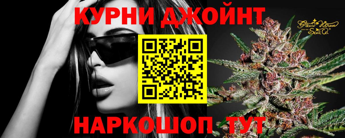 Каннабис сатива Крымск